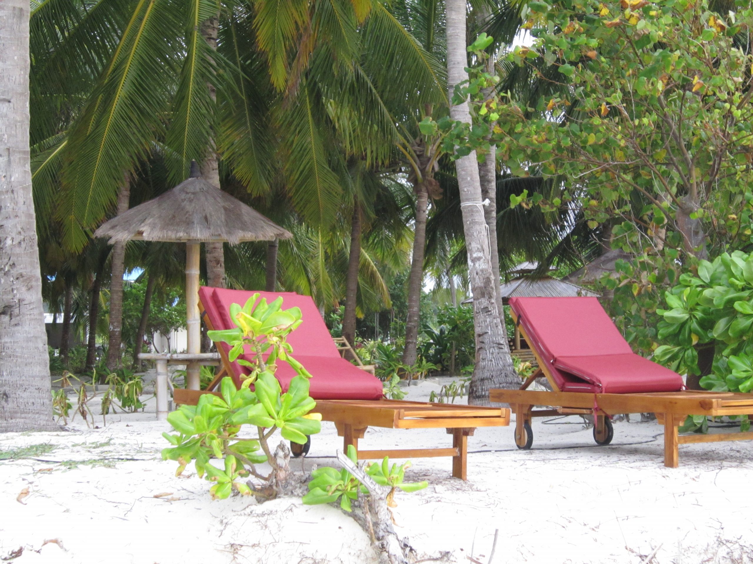 Maldives Hotel Holiday